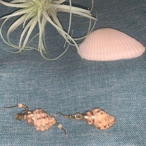 Shell Earrings W/ Gold Trim